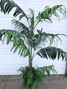 Large Artificial Bamboo  Palm Tree wOrnate Urn