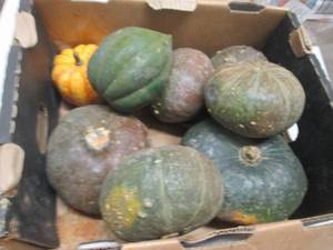Box of Assorted Winter Squash...