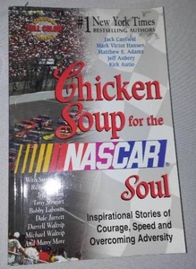 lot 108 image: NASCAR Dale Earnhardt Jr. No. 8 Bud Can, Chicken Soup.