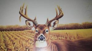 lot 136 image: Trevor Eckhoff Fall Lookout.