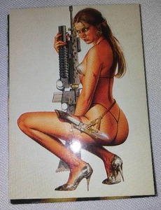lot 331 image: Hajime Sorayama Sexy Pinups and Robots Fantasy Art Trading Complete Set