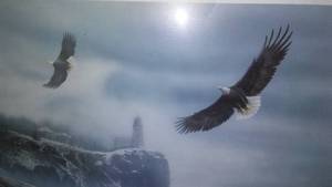 lot 353 image: Kevin Daniel, Eagles.