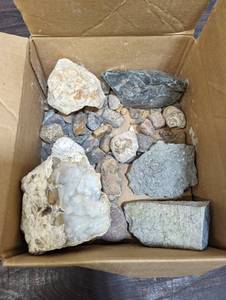 Collection of Rocks