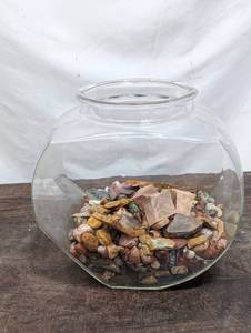 Collection of Misc. Rocks