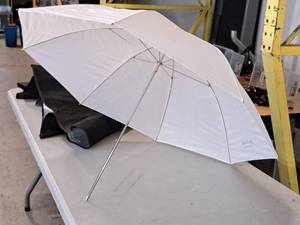 lot 231 image: Pro Master Professional 37 Light Umbrella