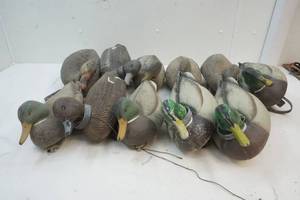 lot 145 image: Duck Decoys