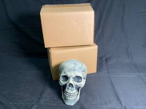 NEW - Skull Halloween Decor - 2-Pack