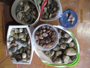 lot 49 image: Multiple buckets containing more of a rock collection