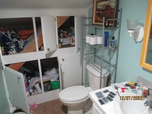 lot 54 image: Content of bathroom. Everything from home improvement and outdoor chemicals to personal care, laundry supplies and bathroom decor