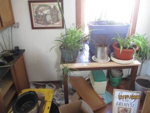 lot 57 image: Square Counter height kitchen table, live potted plants, large lidded tote, decor and more