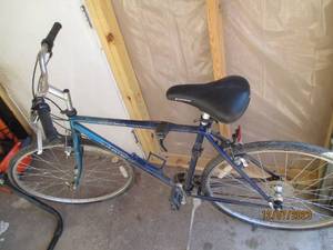 lot 19 image: Mens Trek multi-track bike