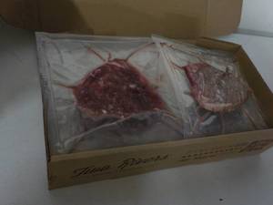 lot 461 image: L Beef T Bones Frozen Steak Two Rivers 8.10 lbs.
