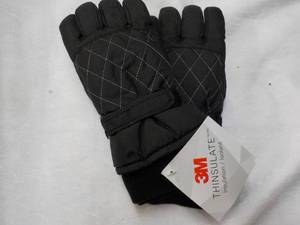 lot 47 image: 1 pr 3M Thinsulate Gloves size M