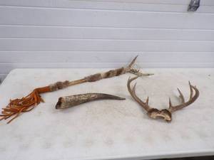Antlers and Horns