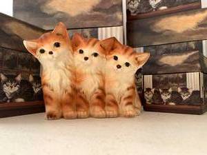 Kitty Cats and Weiner Dog