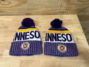 lot 53 image: Minnesota Winter Gear (Vikings Colors)