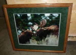 lot 80 image: Richard Mousel Ltd Ed framed photo of moose and calf 26100