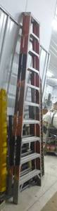 lot 221 image: werner ladder 10ft