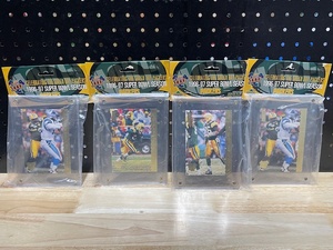 1996-97 Green Bay Packers Super Bowl Season Pictures