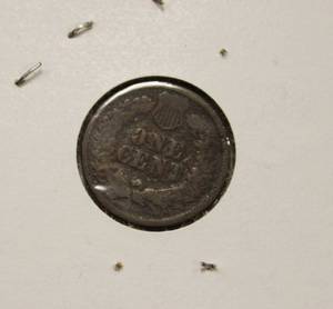 Nice 1886 Indian Head Penny