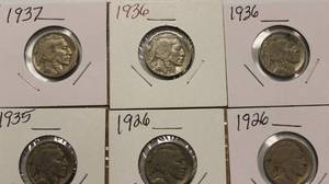6 Buffalo Nickels