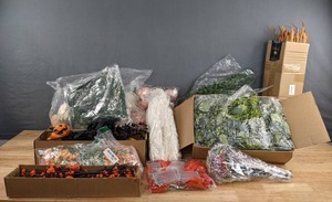 New Fall Harvest Greenery, Pumpkins, Flowers, Feathers and More Q
