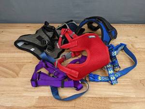 Assorted Dog Walking Items - Harnesses, Leashes, Collars S