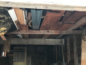 lot 23 image: Shed of contents except Harley, planter and horse harnesses