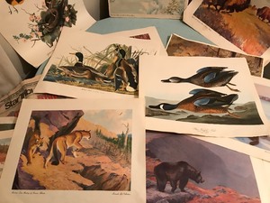 lot 196 image: 1991 world twins series Star tribune newspaper and wildlife prints