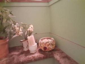 lot 191 image: Artificial plant and planters and more