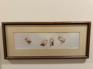 Framed Bird Artwork