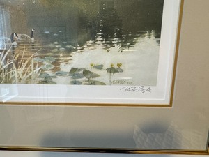 Framed Wildlife Artwork