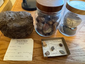 Mixed Lot of Fossils and Rocks