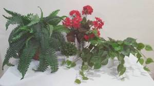 lot 547 image: Artificial Plants (4).