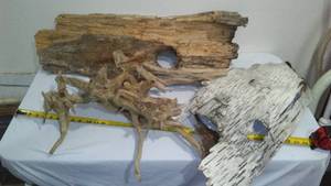 lot 599 image: Driftwood, Birch Bark  And  More.