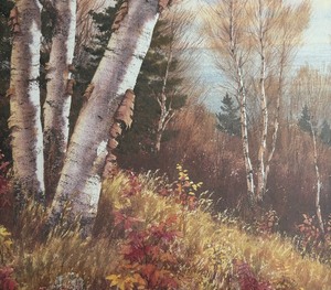 Uptown Art Fair 1993 Framed Print