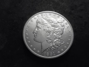 1891 Morgan Silver Dollar