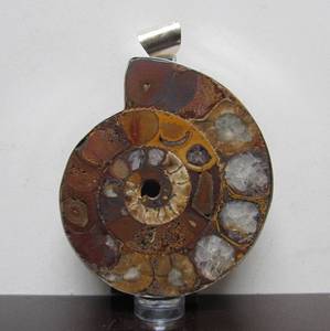 lot 19 image: LARGE Signed Charles Albert Sterling Fossil Form Pendant
