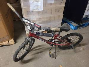 Childrens Mountain Bike with Rear Trick Bars
