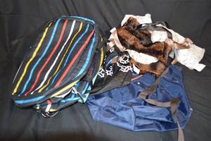 lot 190 image: Assorted Bags