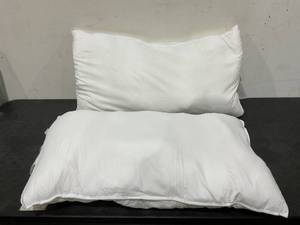 lot 200 image: LOT OF 2 20x36 Pillows