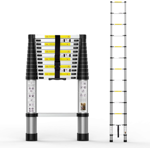 lot 261 image: Telescoping Extension Ladder 12.5FT