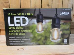lot 157 image: Feit Electric 48 LED Filament String Light Set