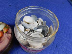 lot 264 image: Tins and shells