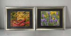 lot 73 image: Floral and Leaves PrintsPhotos