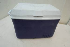 lot 84 image: Rubbermaid cooler