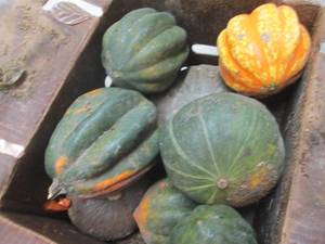 Box of Assorted Winter Squash...