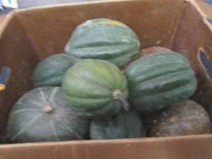 Box of Assorted Winter Squash...
