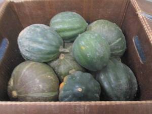Box of Assorted Winter Squash...