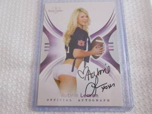 2015 Bench Warmer Aubrie Lemon Auto...